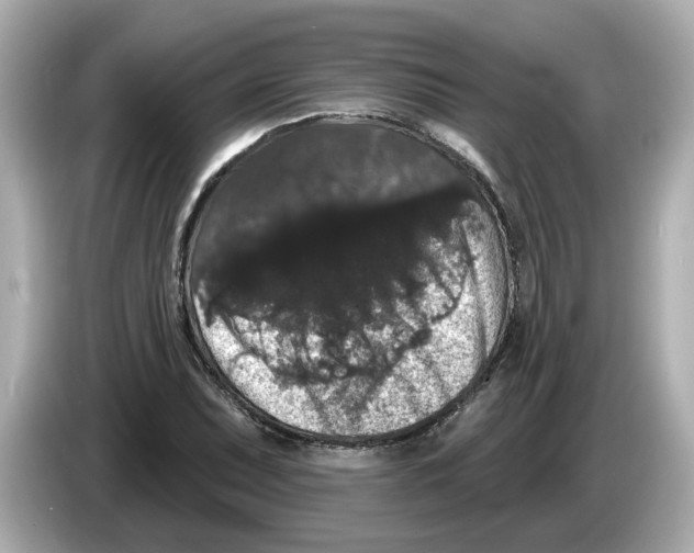 X0000085761071200704091330