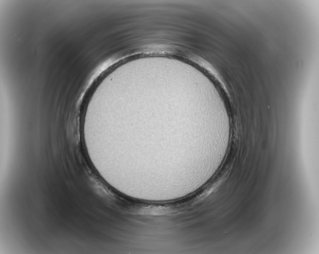X0000085761075200704091330
