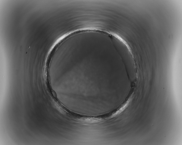 X0000085761077200704091330
