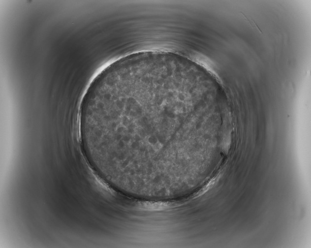 X0000085761079200704091330