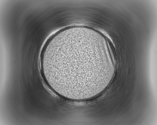 X0000085761080200704091330