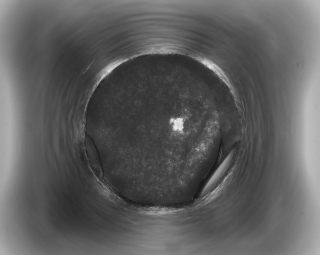 X0000085761081200704091330
