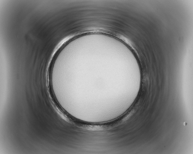 X0000085761082200704091330