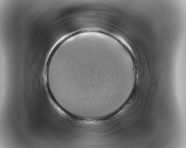 X0000085761084200704091330