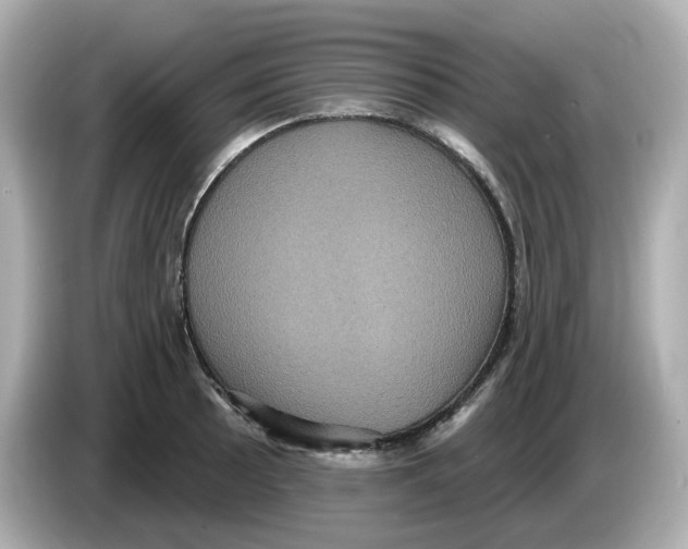 X0000085761089200704091330