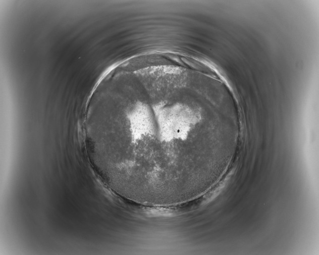 X0000085761097200704091330