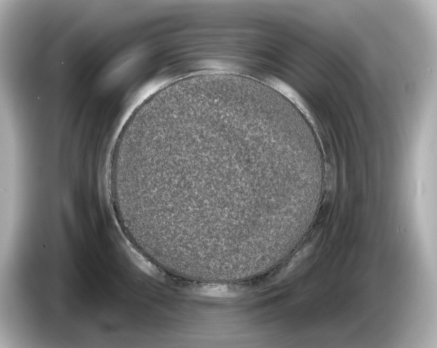 X0000085761098200704091330