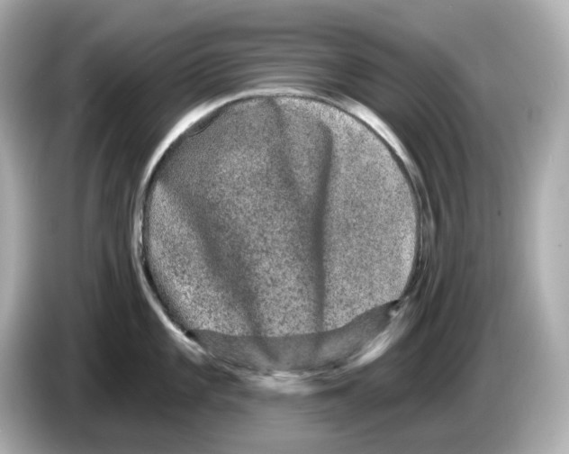 X0000085761101200704091330