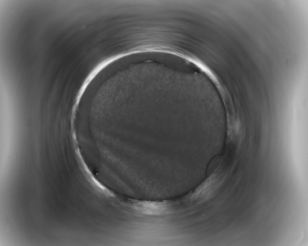 X0000085761102200704091330