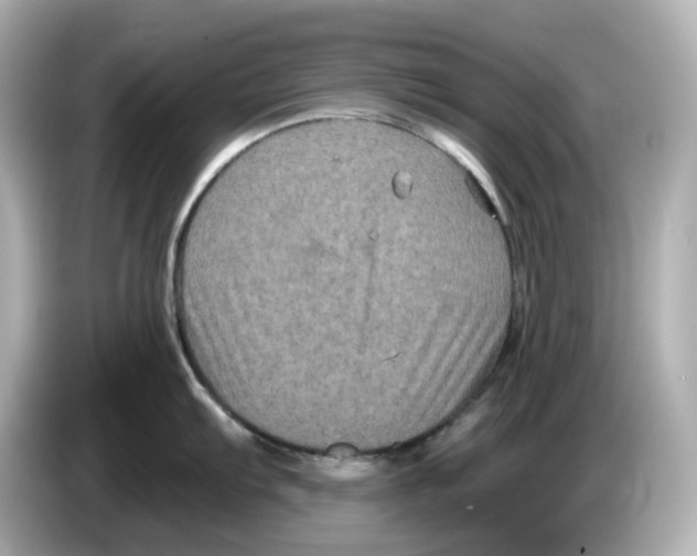 X0000085761103200704091330