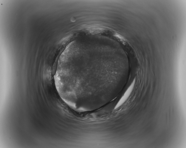X0000085761108200704091329