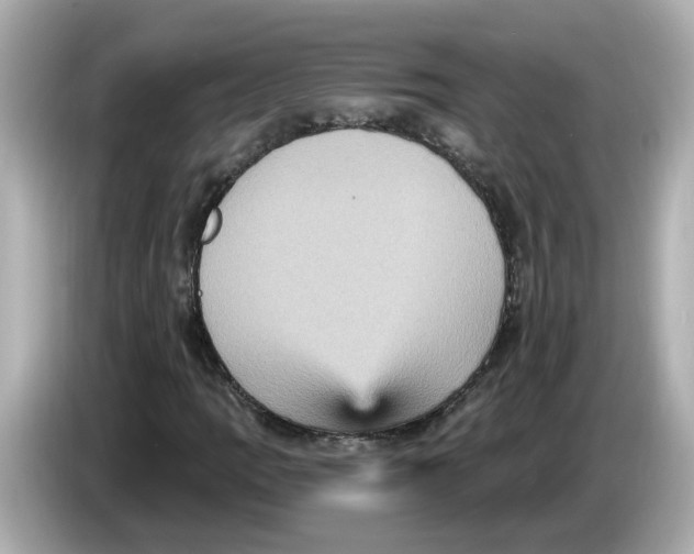 X0000085761109200704091329