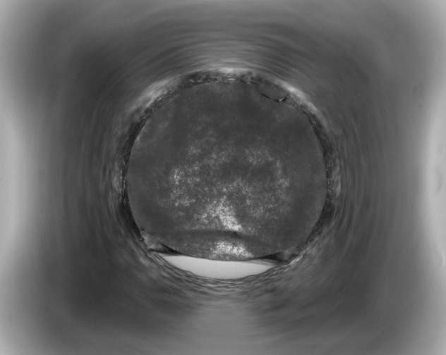 X0000085761110200704091329