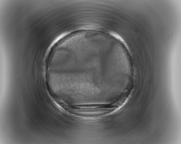 X0000085761114200704091329
