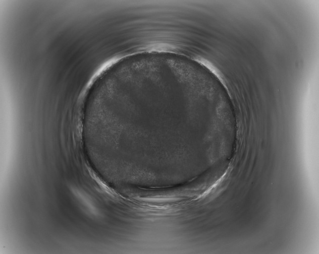 X0000085761115200704091329