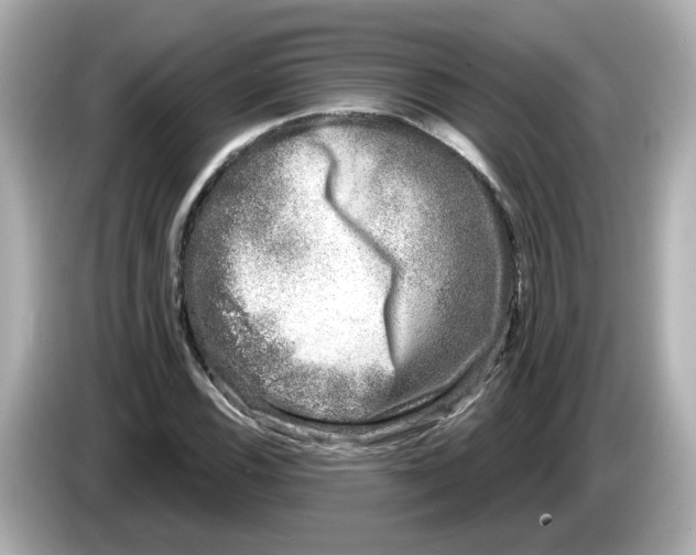 X0000085761116200704091329
