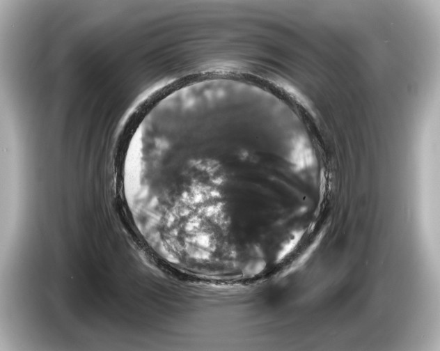 X0000085761117200704091329
