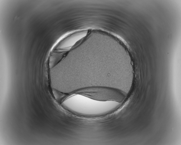 X0000085761118200704091329
