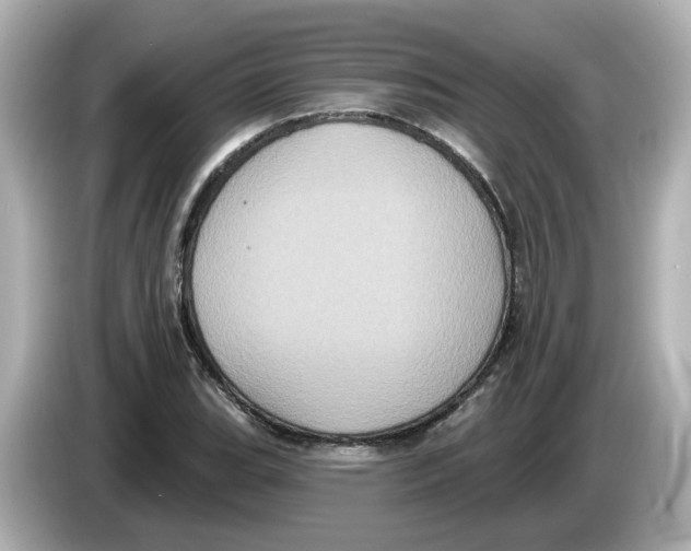 X0000085761119200704091329