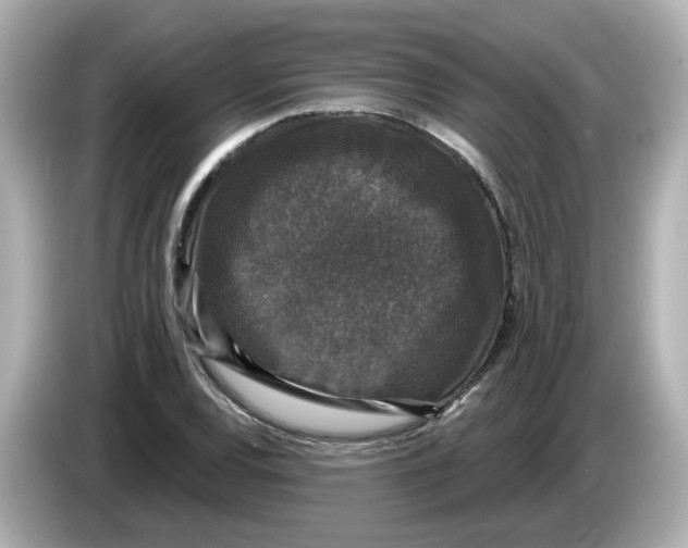 X0000085761120200704091329