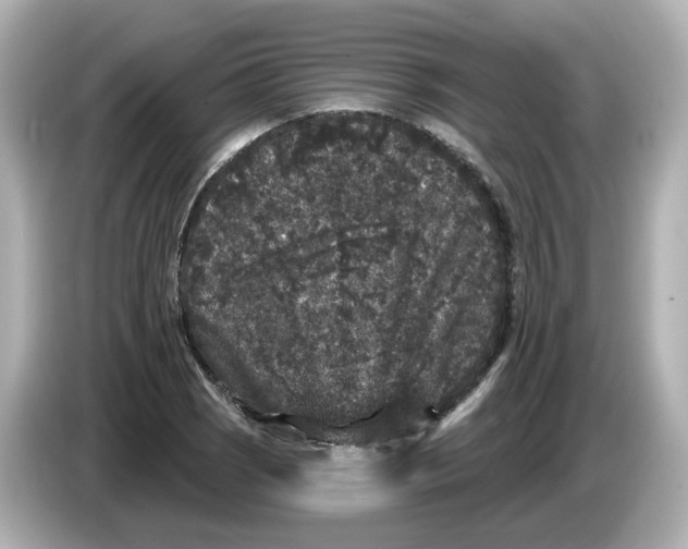 X0000085761121200704091329