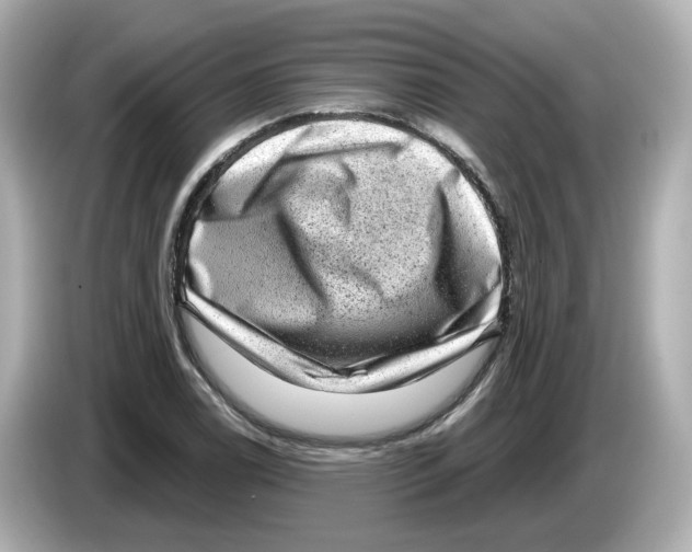 X0000085761122200704091329