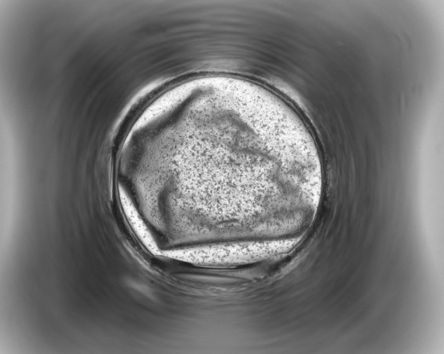 X0000085761123200704091329