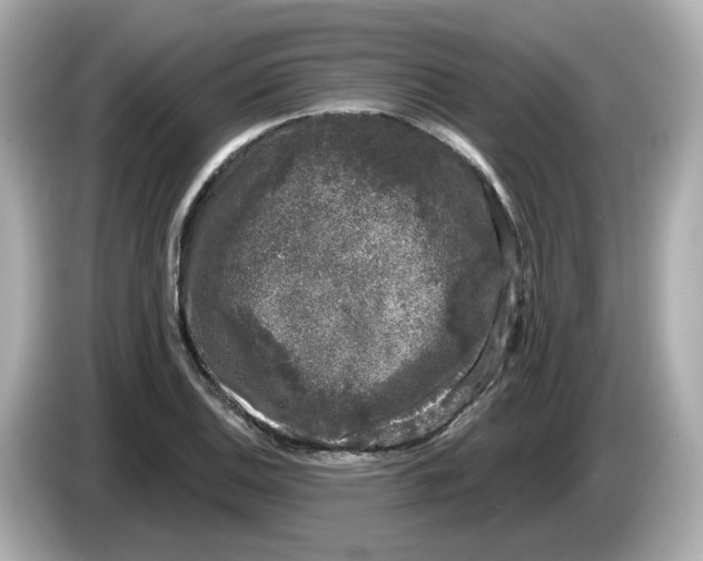 X0000085761124200704091329