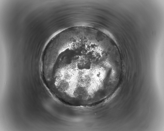 X0000085761125200704091329