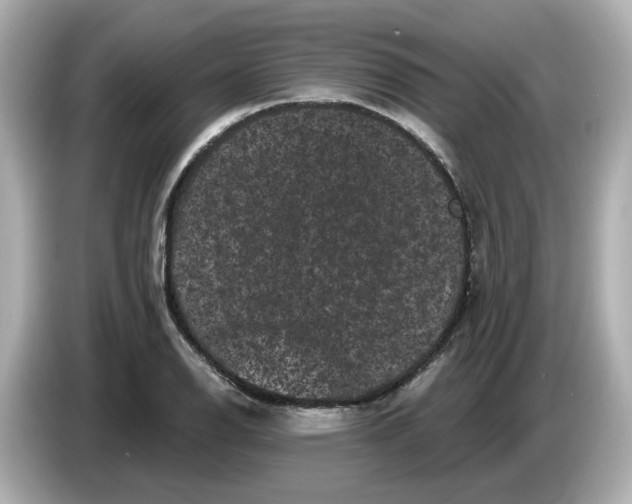 X0000085761126200704091329