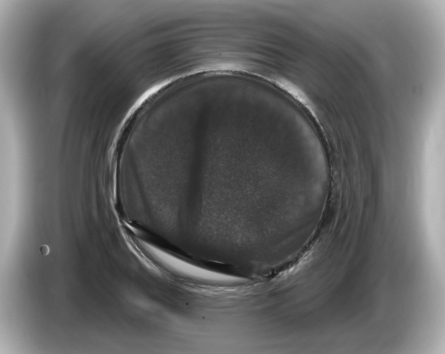 X0000085761127200704091329