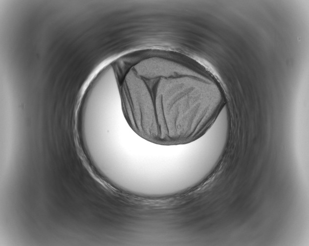 X0000085761128200704091329