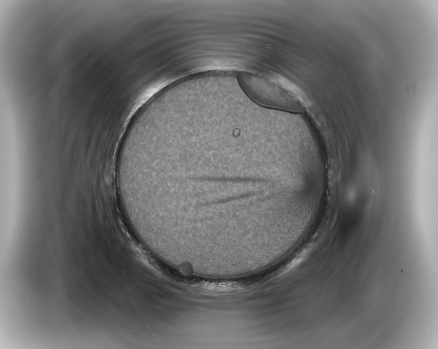 X0000085761129200704091329