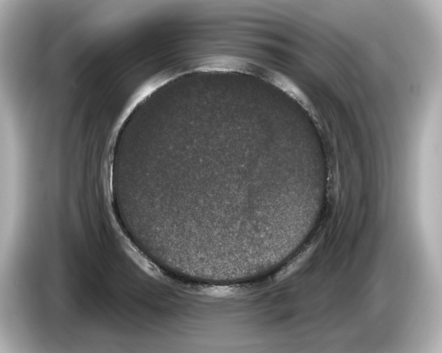 X0000085761130200704091329