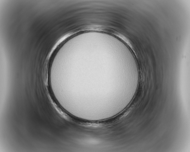 X0000085761131200704091329