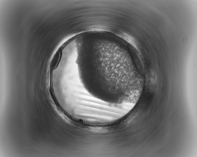 X0000085761132200704091329