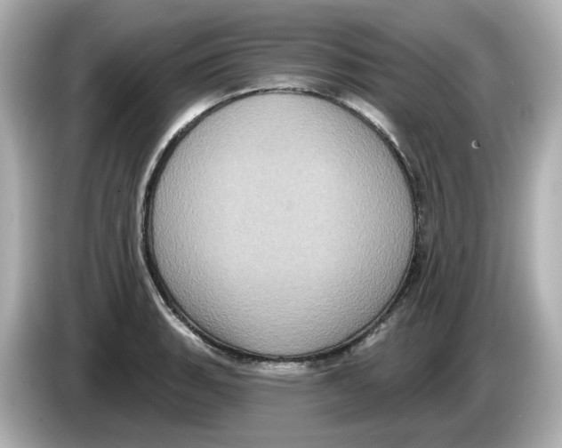 X0000085761135200704091329