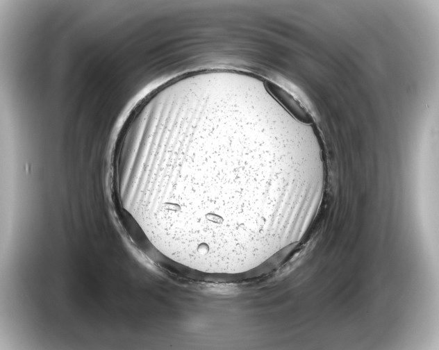 X0000085761136200704091329