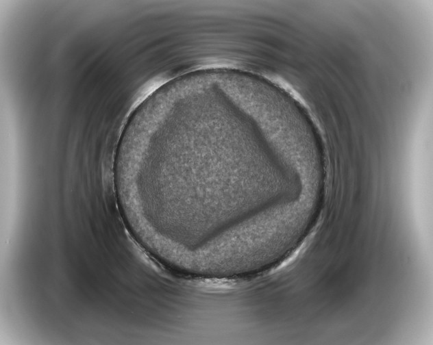 X0000085761137200704091329