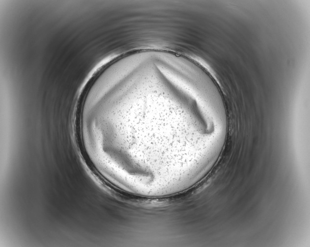 X0000085761139200704091329