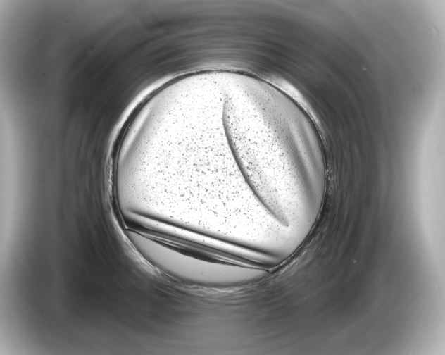 X0000085761140200704091329