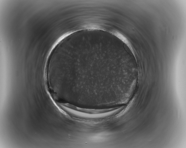 X0000085761141200704091329
