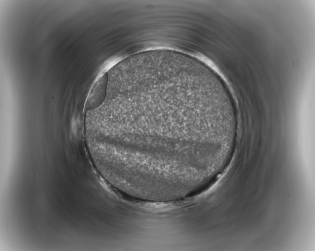 X0000085761145200704091329