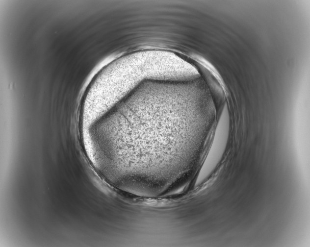 X0000085761146200704091329
