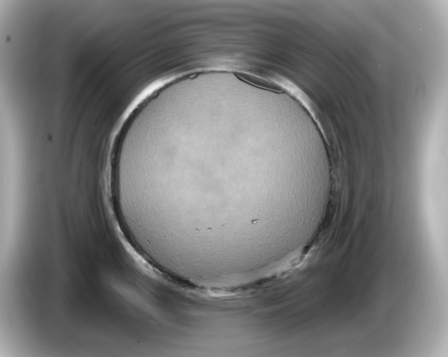 X0000085761147200704091329