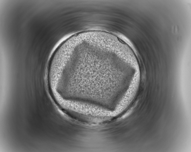 X0000085761149200704091329