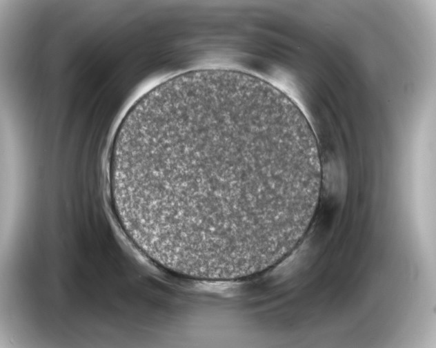X0000085761150200704091329