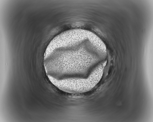 X0000085761153200704091329