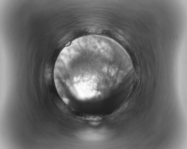 X0000085761154200704091329