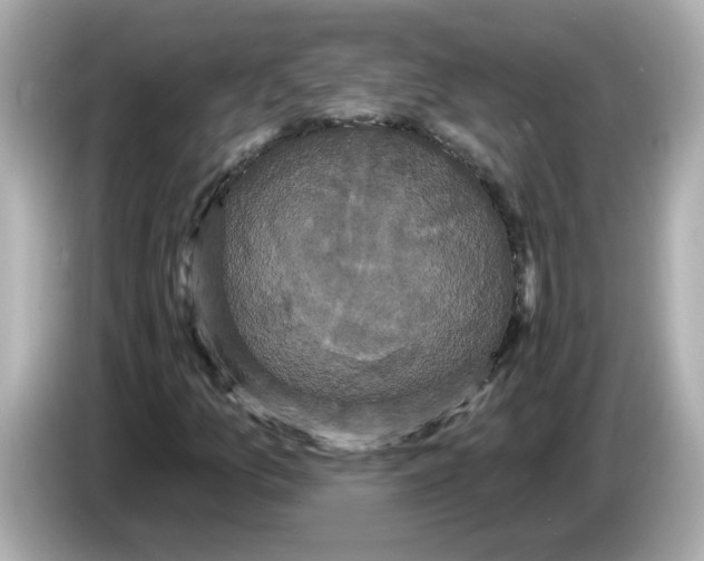 X0000085761157200704091329